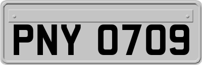 PNY0709