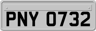 PNY0732