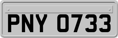 PNY0733