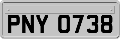 PNY0738