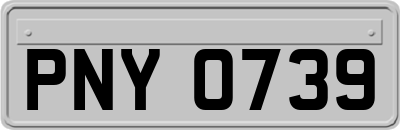 PNY0739