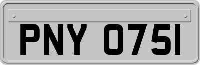 PNY0751