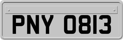 PNY0813