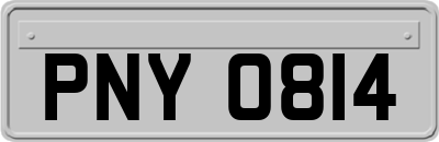 PNY0814