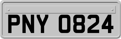 PNY0824