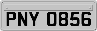 PNY0856