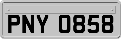 PNY0858
