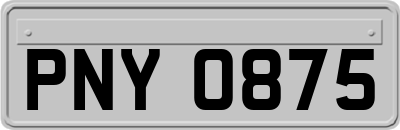 PNY0875