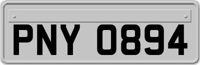 PNY0894