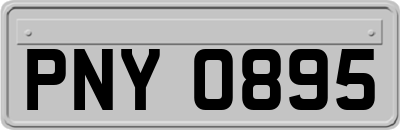 PNY0895