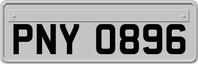 PNY0896