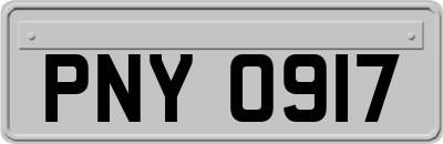 PNY0917