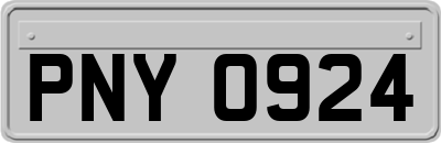 PNY0924