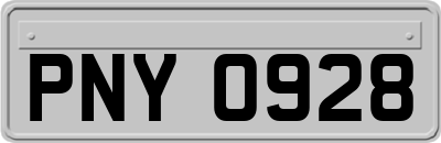 PNY0928