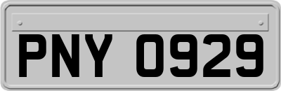 PNY0929