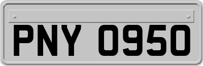 PNY0950