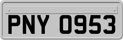PNY0953