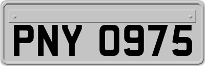 PNY0975