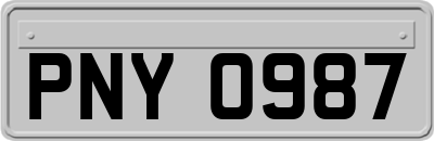 PNY0987