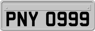 PNY0999