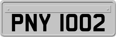 PNY1002