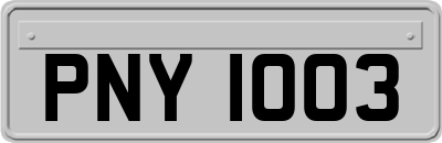 PNY1003