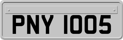 PNY1005