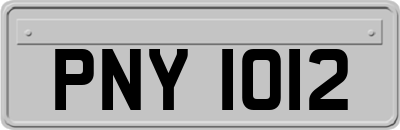 PNY1012