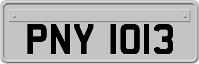 PNY1013