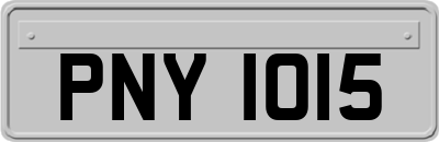PNY1015