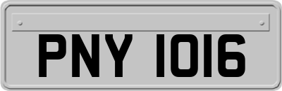 PNY1016