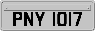 PNY1017