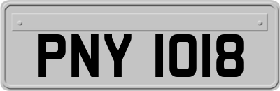 PNY1018