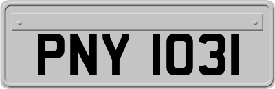 PNY1031