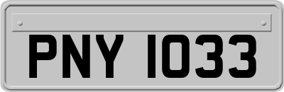 PNY1033
