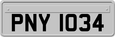 PNY1034