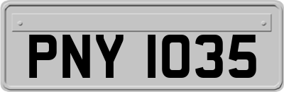 PNY1035