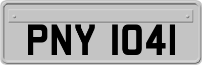 PNY1041
