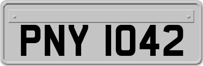 PNY1042