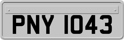 PNY1043