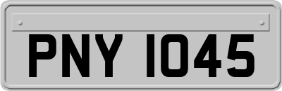 PNY1045