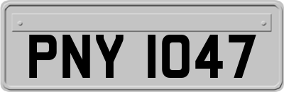 PNY1047