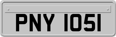 PNY1051