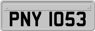 PNY1053