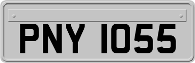 PNY1055