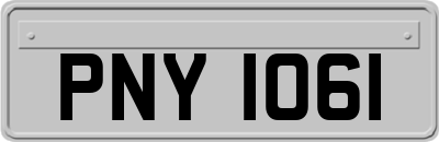 PNY1061