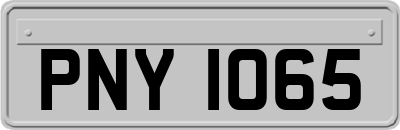 PNY1065