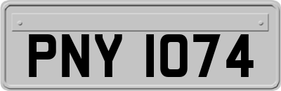 PNY1074