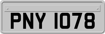 PNY1078