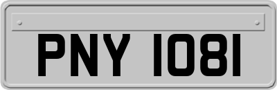 PNY1081